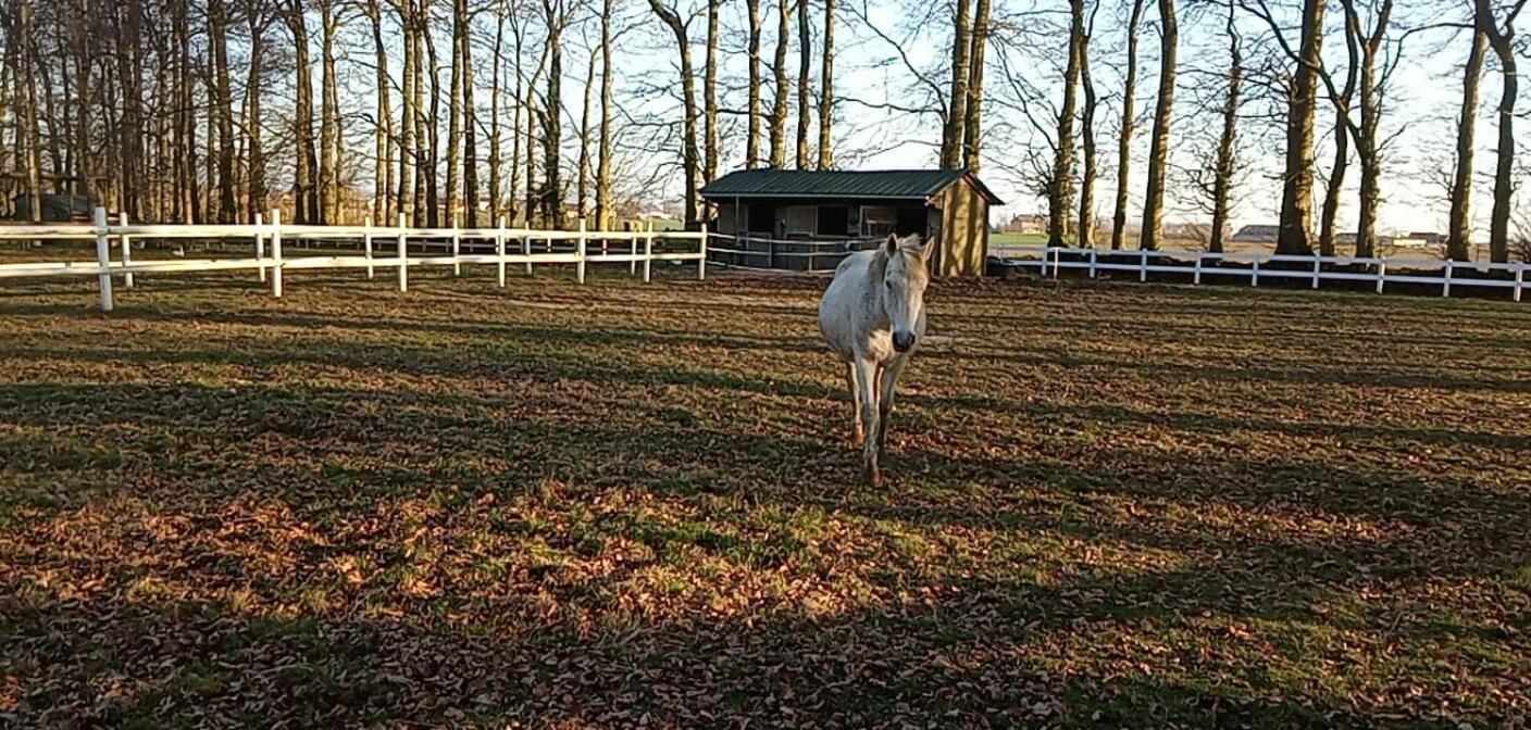 La Hetraie Villa Vergetot Buitenkant foto